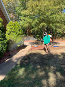 Mosquito Control Technician Spraying a yard